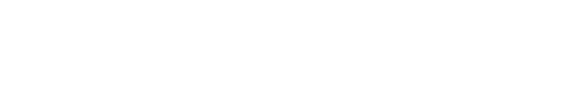 CVEDIX AI